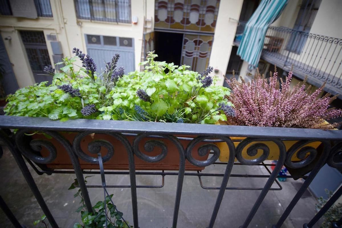Dreaming * Turin